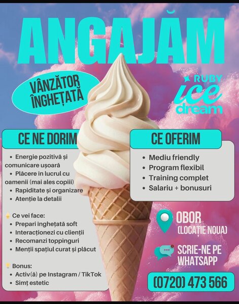 Vanzator inghetata