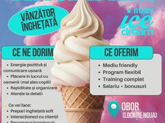 Vanzator inghetata