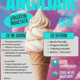 Vanzator inghetata